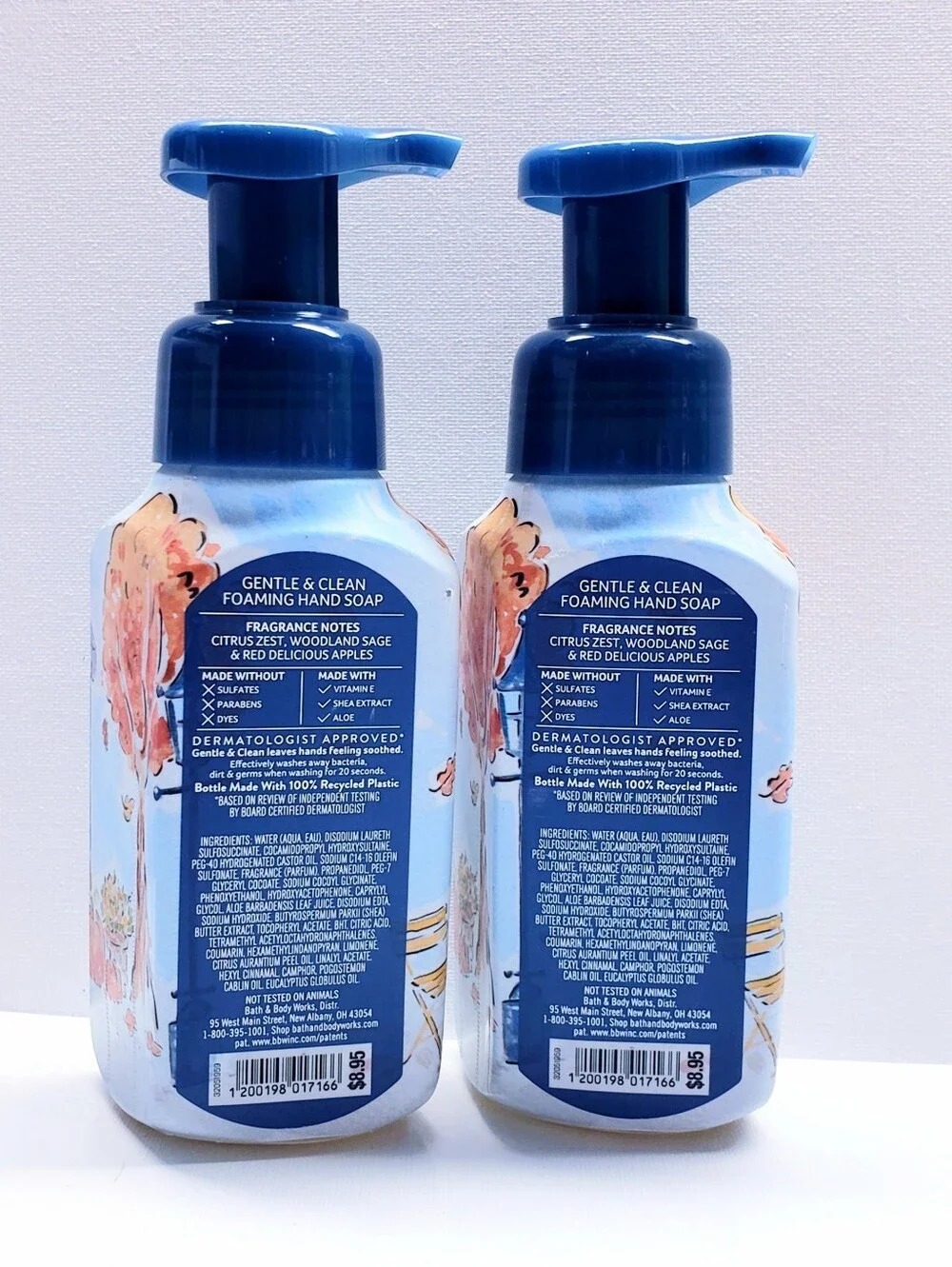 Bath & Body Works FRESH FALL MORNING Gentle & Clean Foaming Hand Soap (2 Pcs)